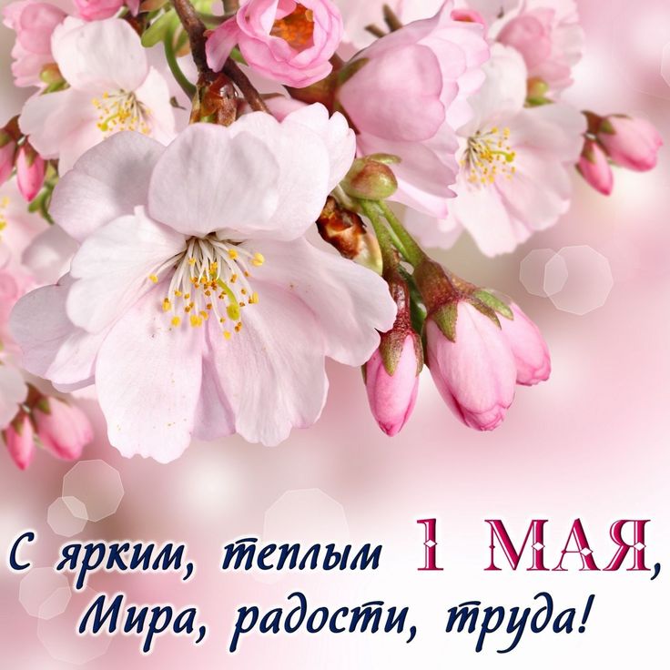 1-мая.jpg