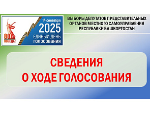 Данные по явке на 18:00: проголосовало 75 511 избирателей