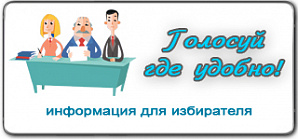  «Мобильный избиратель» заработал в Кировском районе города Уфы