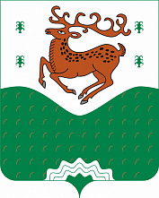 В Зилаирском районе подвели итоги дополнительных выборов депутата районного Совета  В Зилаирском районе подвели итоги дополнительных выборов депутата районного Совета