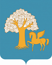 В Кигинском районе в депутаты Советов двух сельских поселений зарегистрировано пять кандидатов В Кигинском районе в депутаты Советов двух сельских поселений зарегистрировано пять кандидатов