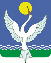 В Чишминском районе дополнительные выборы признаны состоявшимися и действительными  В Чишминском районе дополнительные выборы признаны состоявшимися и действительными