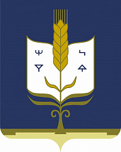 Выборы – это наш выбор! Выборы – это наш выбор!