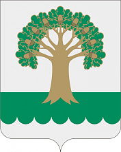 В Архангельском районе зарегистрированы кандидаты на дополнительных выборах депутатов Советов сельских поселений В Архангельском районе зарегистрированы кандидаты на дополнительных выборах депутатов Советов сельских поселений