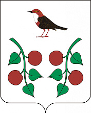 Назначены дополнительные выборы депутатов Советов сельских поселений Бирского района Назначены дополнительные выборы депутатов Советов сельских поселений Бирского района