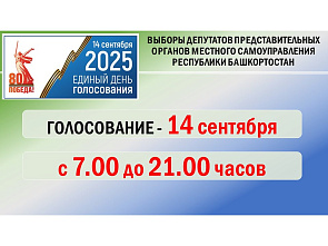 Ход голосования на выборах депутатов представительных органов местного самоуправления Ход голосования на выборах депутатов представительных органов местного самоуправления